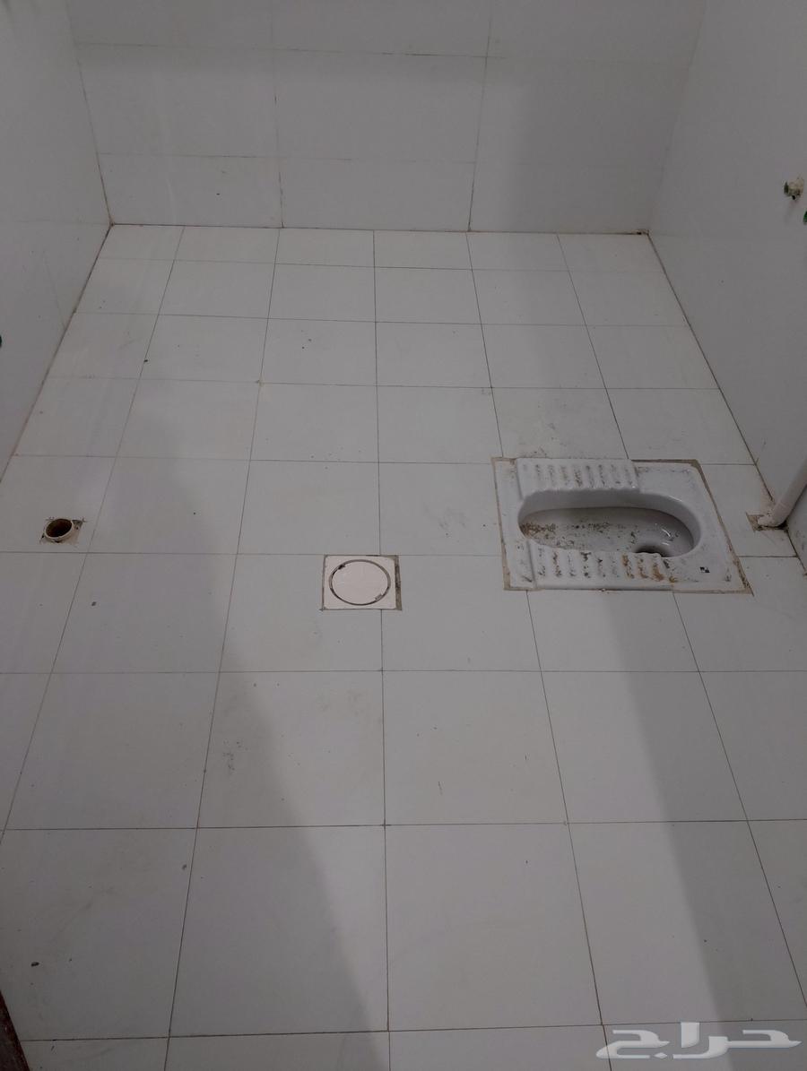 سلامي بلاط بناء تليس ت سير ترميم64216947997186113