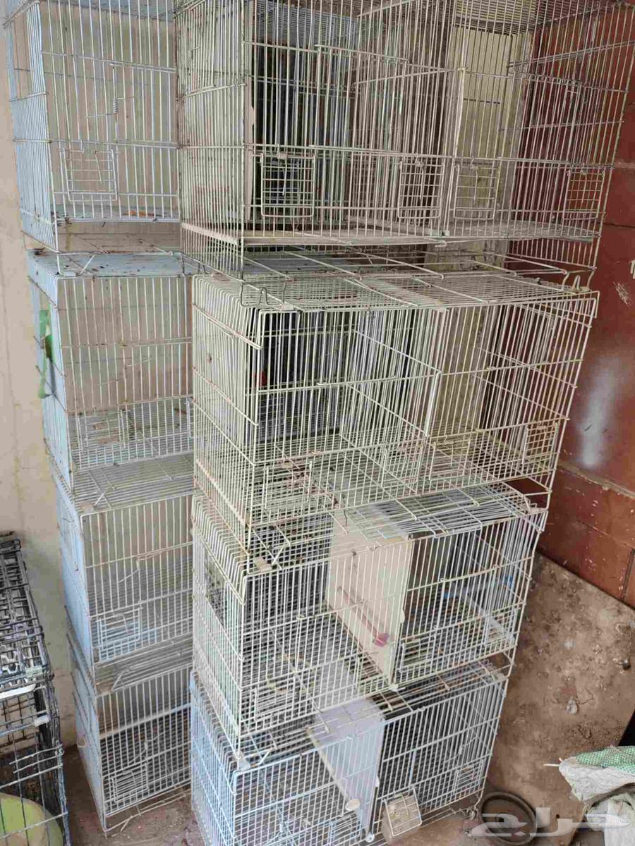 For sale eight sparrow seed packets, divisible from the text, suitable for lovebirds and canaries64217646426241111