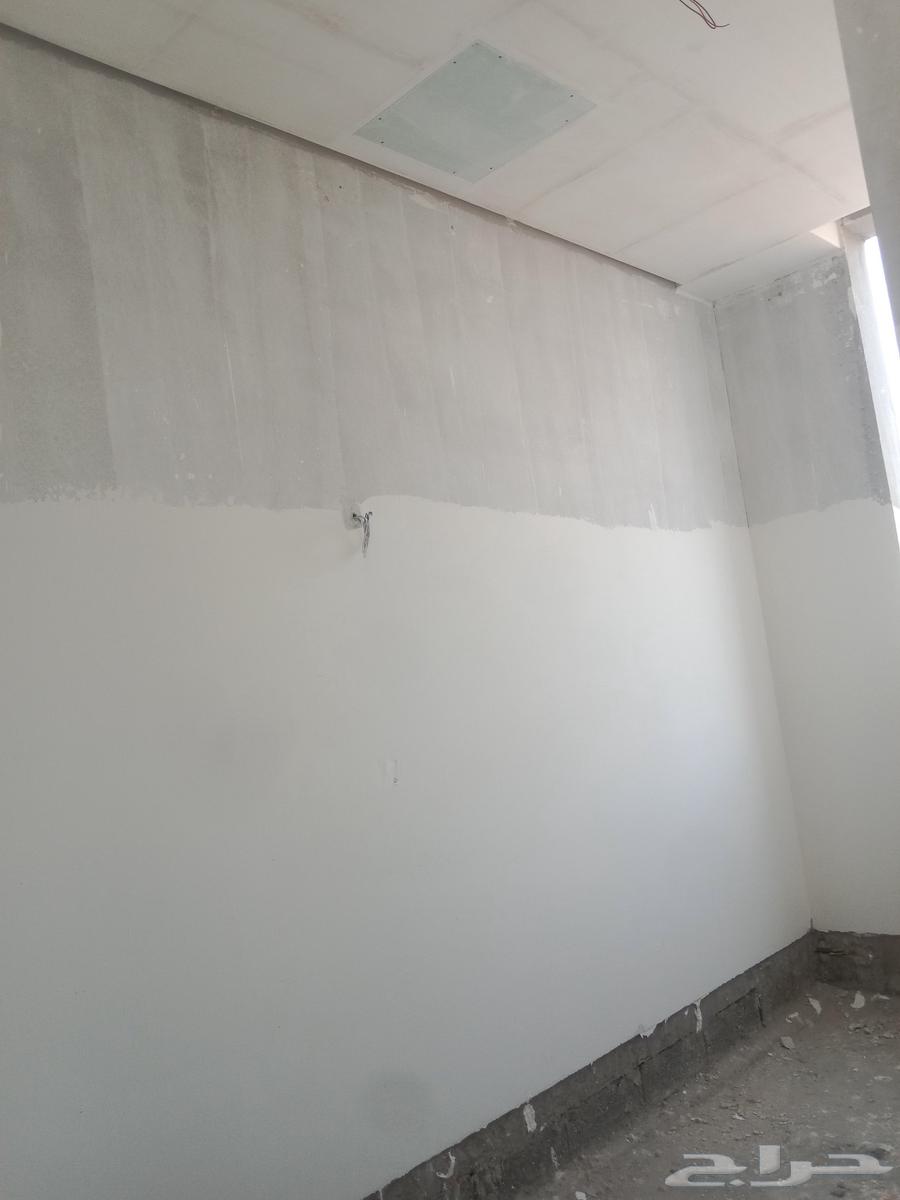 paint work in Jeddah Jipsm board number64216947476866114