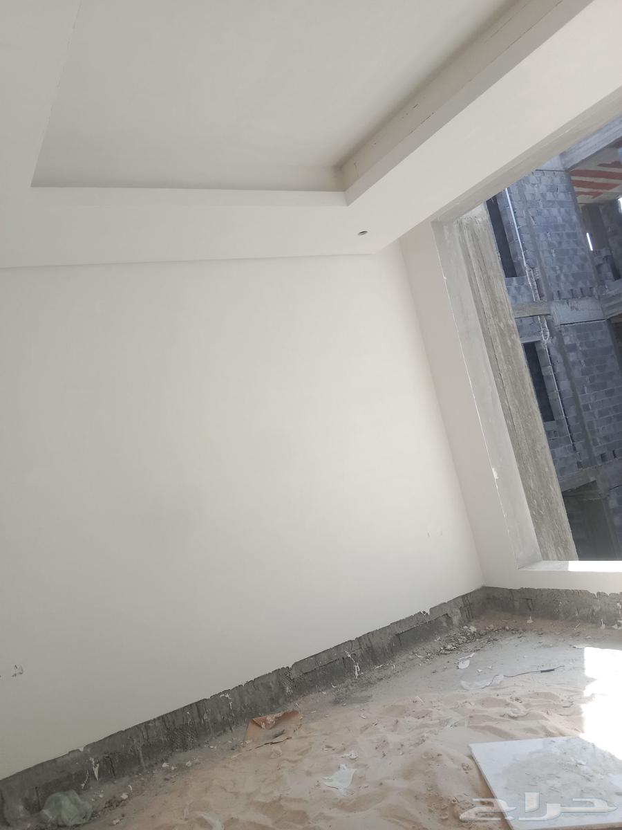 paint work in Jeddah Jipsm board number64216947476866112