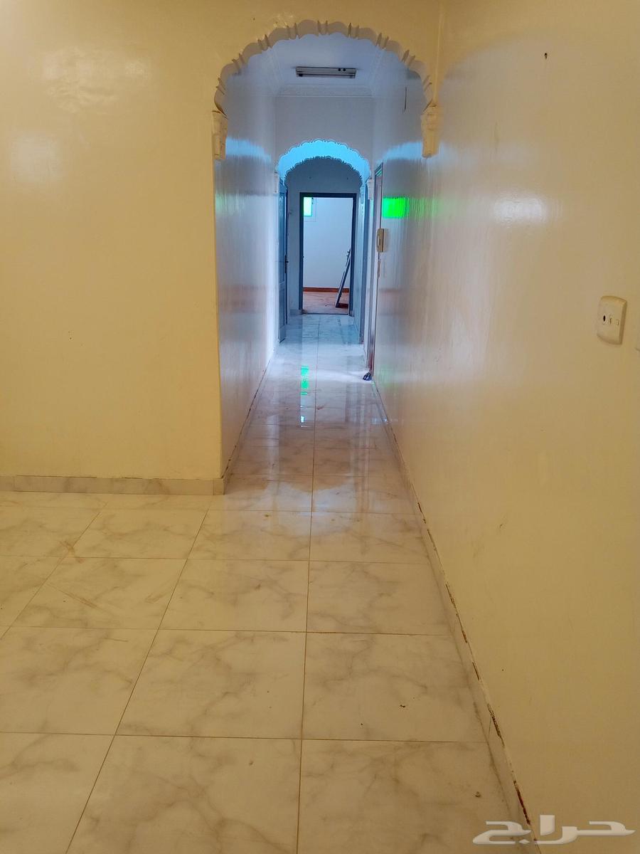 تبوك الفيصلية64217410157698114