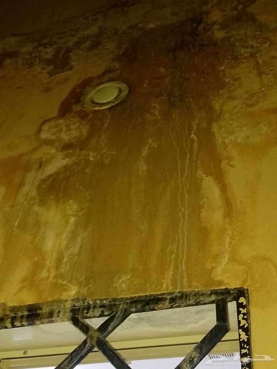 كشف تسربات المياه الكتروني فحص تهريب الموية بدون تكسير64216945615617112