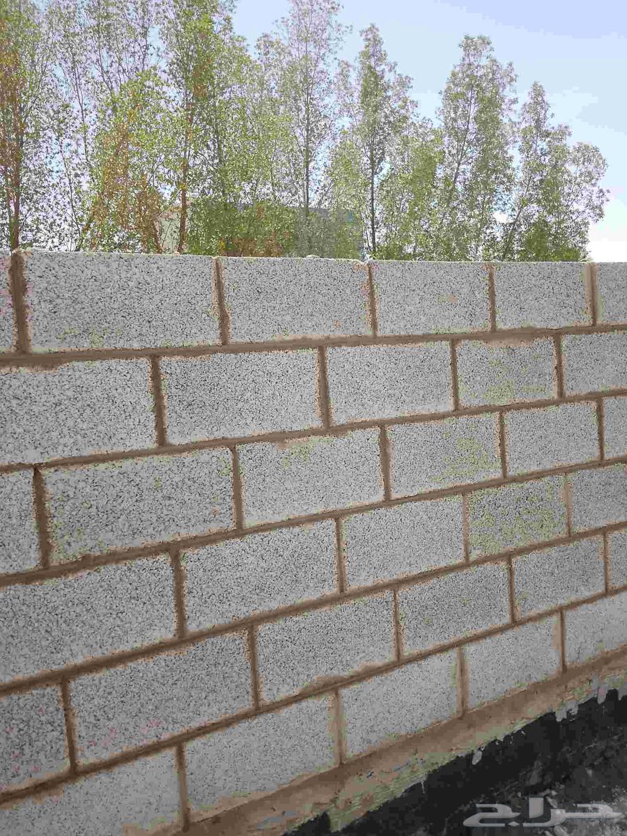 معلم بناء ومقاول بلاط ومقاول هدم وتكسير وترميم وتنسيق حدائق64225452577667112