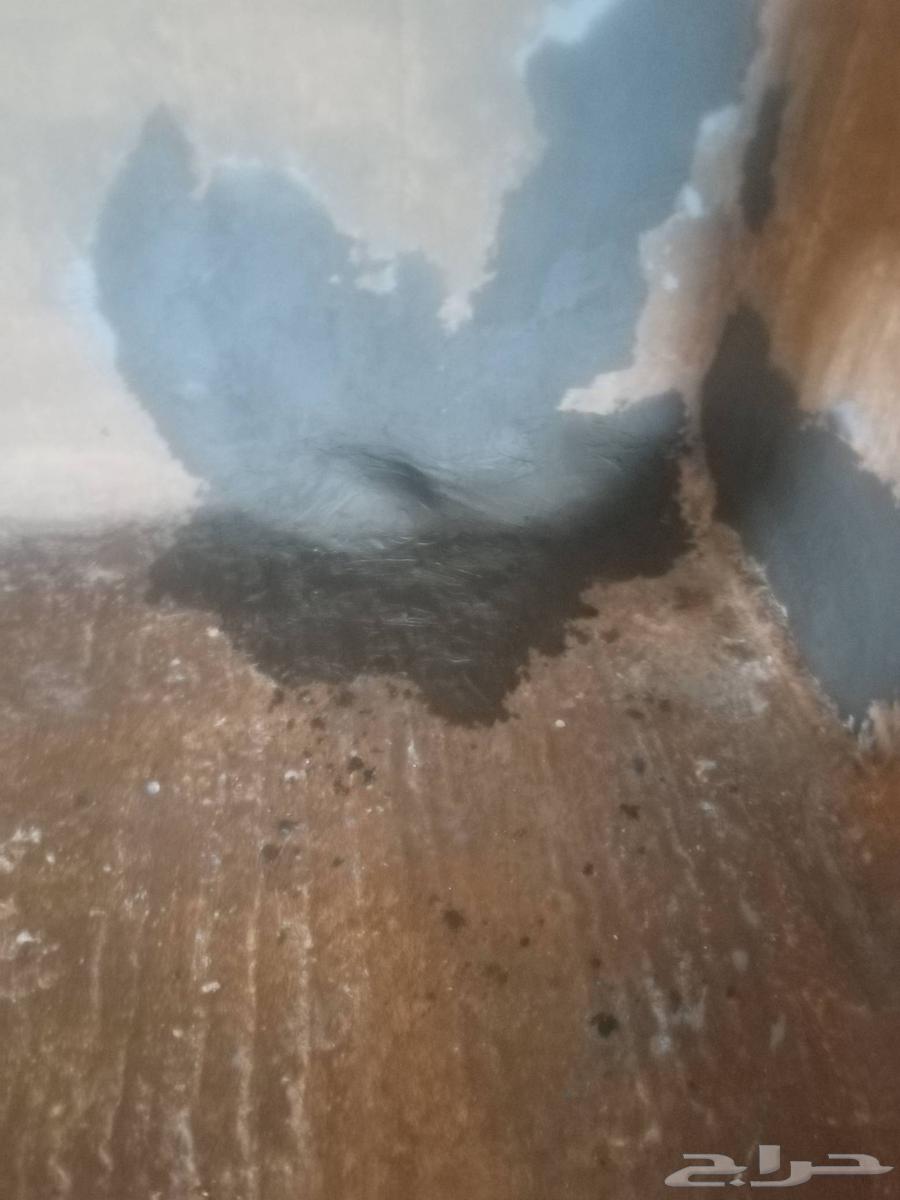 شركة تنظيف خزانات وعزال64216945012739113