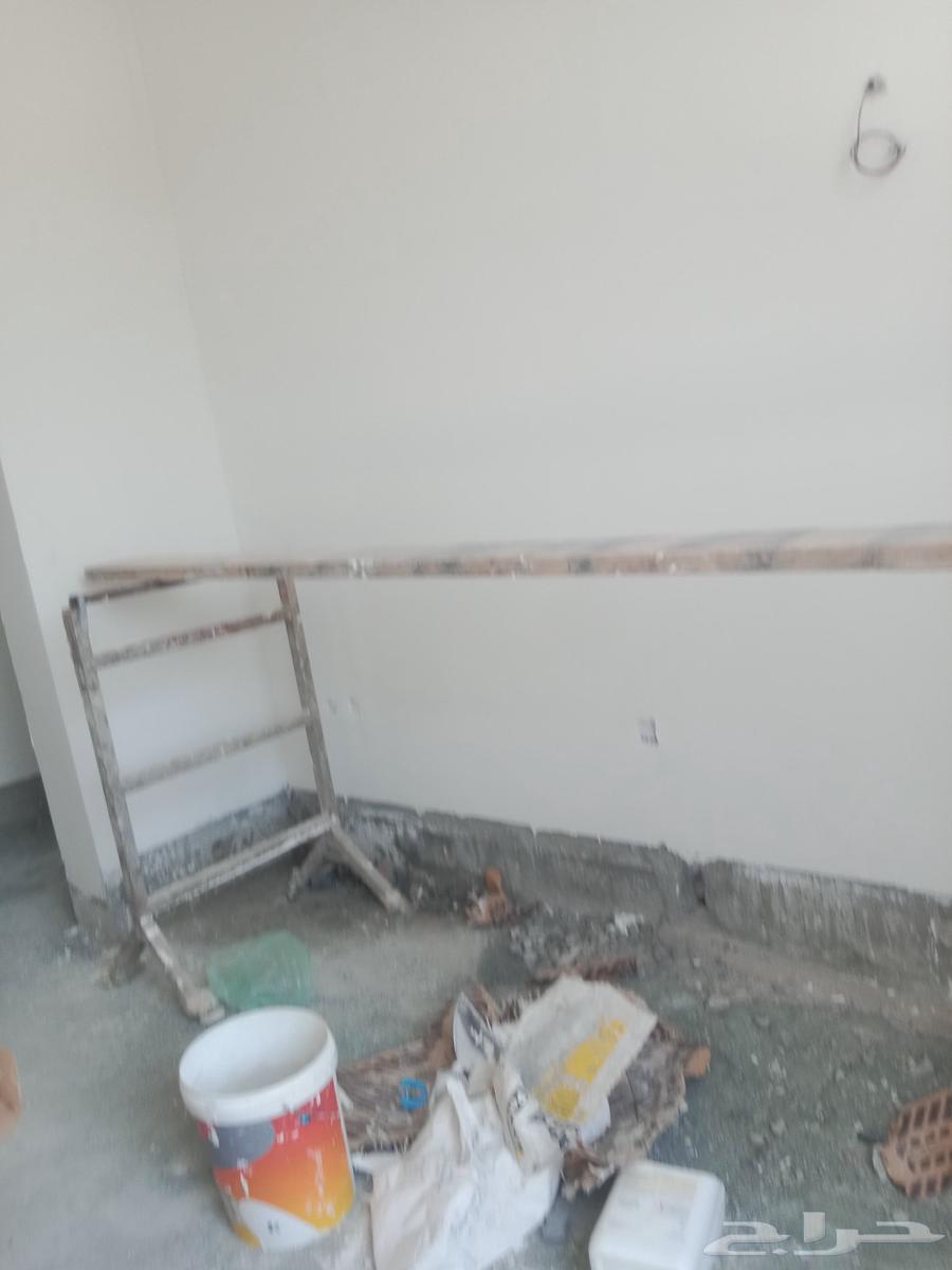 paint work in Jeddah Jipsm board number64216947476866113