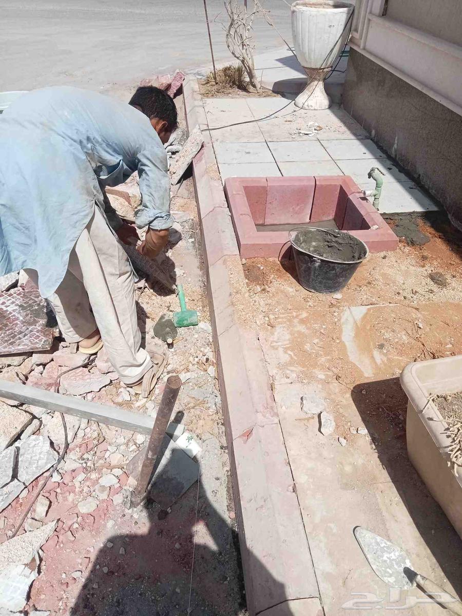 Tile installation job, wall and floor tiling, Turkish tile installation64225273251458110