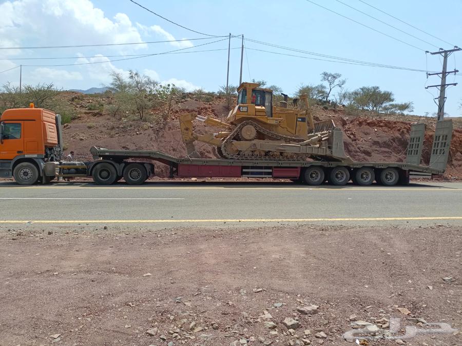 لوبد متواجد في الرياض64217409481985111