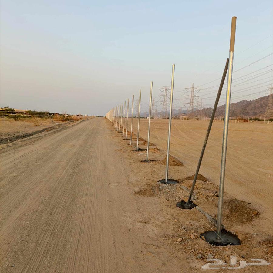 مقاول شبوك سياج64216948549251111