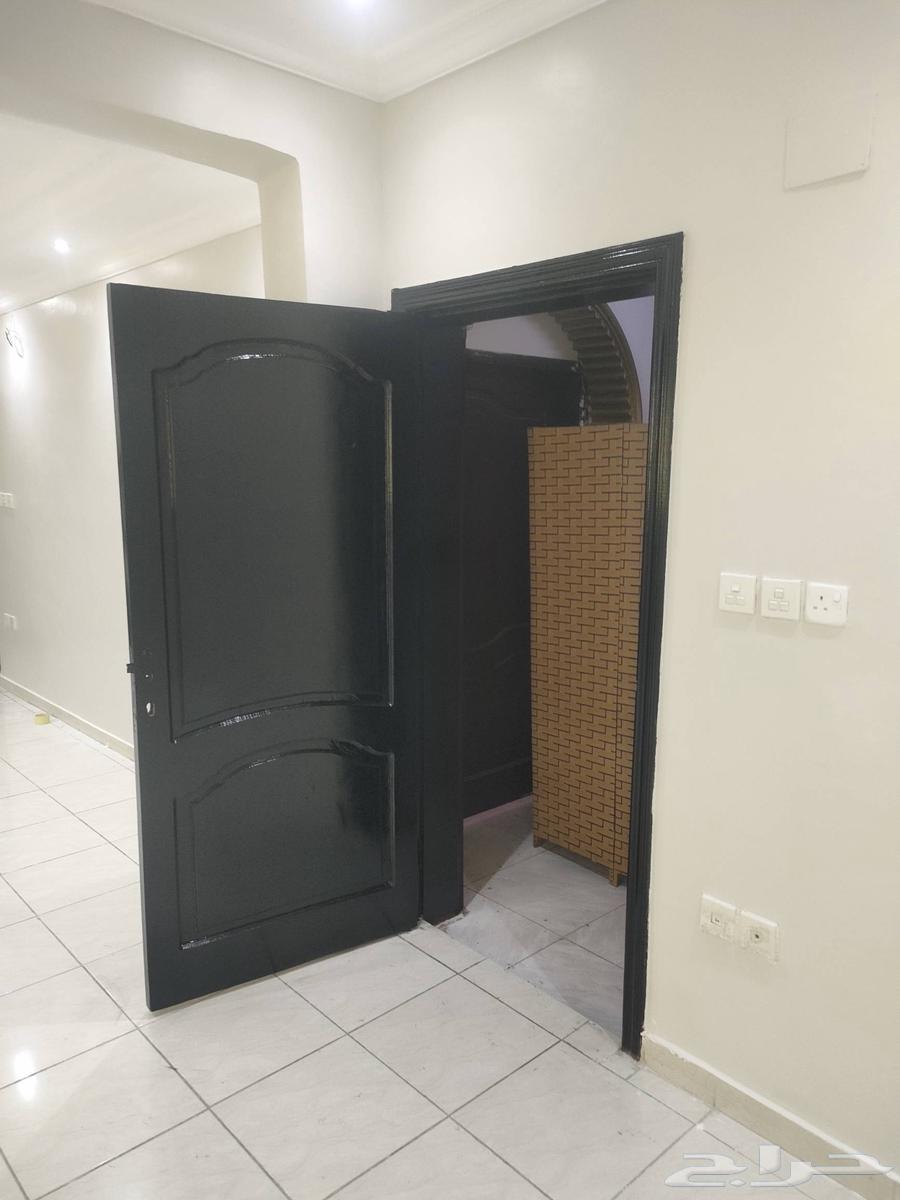 دهان مصري بالمدينة المنوره64217644622850111