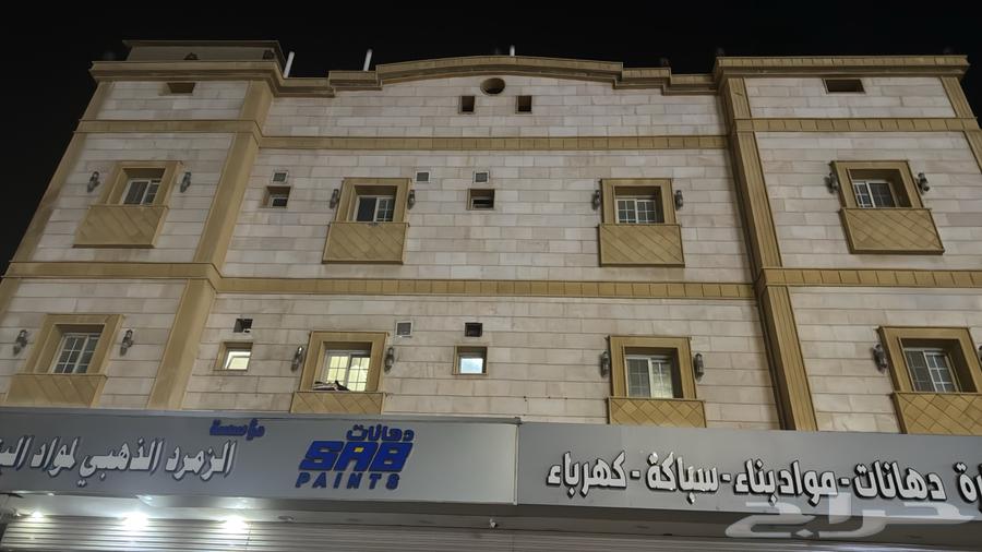 شقه عزاب للايجار64225263556097110