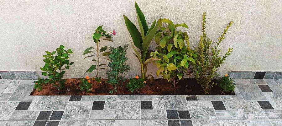 سباك زراعي ومشتل لتنسيق الحدائق64225272933634112