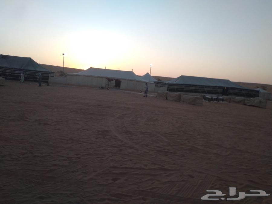 تركيب مخيمات البر وتجهيزها خيم بيوت شعر ممرات كهرباء64218075347203110