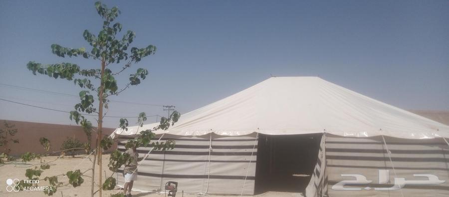 Installation of Bedouin tents, camps, and tailoring of Bedouin tents64217878804739112