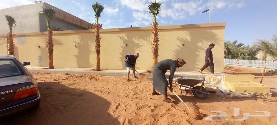 نقوم بتركيب الشبوك تحت ايادي متخصصه وتركيب النخيل64217879167362110