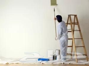 Painting Master and Carpentry and Substitute for Whiteboard64225645842947112