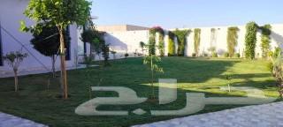 استراحه بحي الخير عرض خاص للجمعه 31  اكتوبر فقط 500 ريال64225262604289113