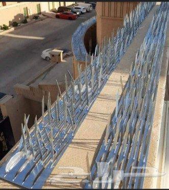 Pigeon Deterrent Installation Company in Jeddah, Pigeon Spikes, Pigeon Netting Installation64216706453122111