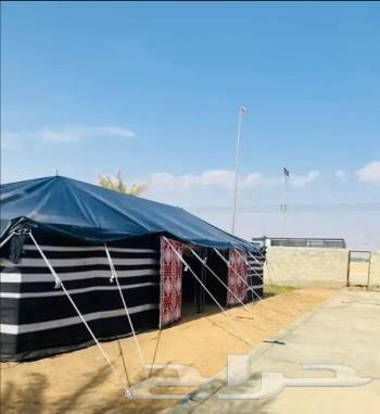 خيمة وبيوت الشعراء64225455530497112