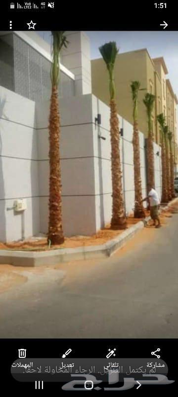 قلع وغرس النخيل وتنسيق الحدايق64217876623874110