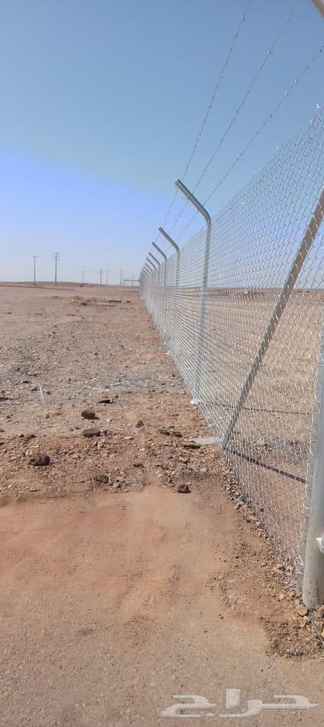 توريد وتركيب جميع انواع الشبوك توريدنخيل عربي واشنطني64216704203139114