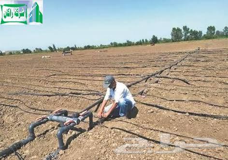 Landscape Design and Irrigation Systems64216946142337113