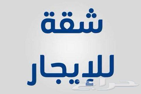 مطلوب شقق للايجار64225263961346110