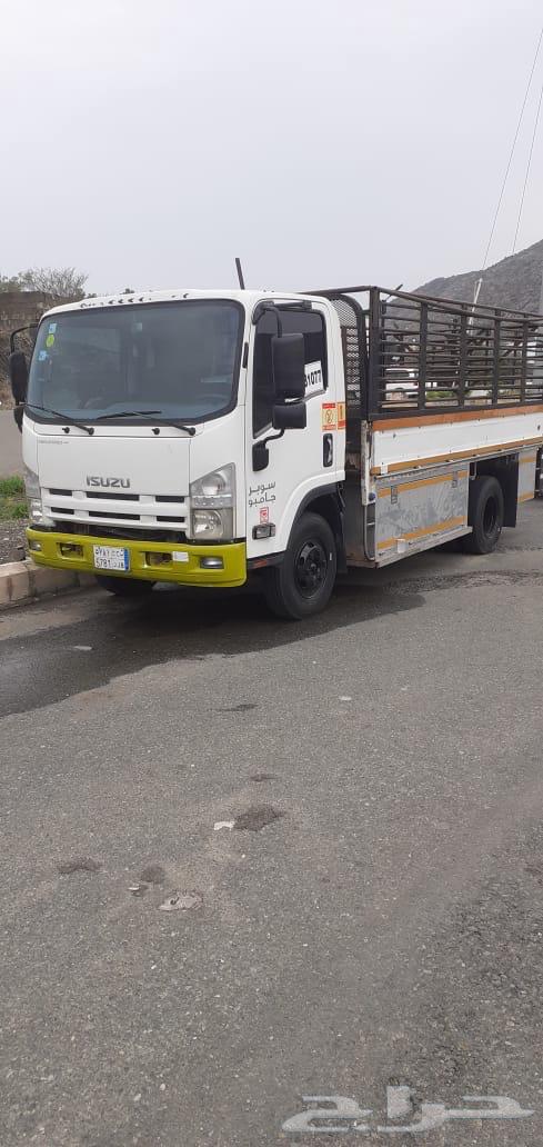 دينه نقل عفش نحل غنم64216945360771111