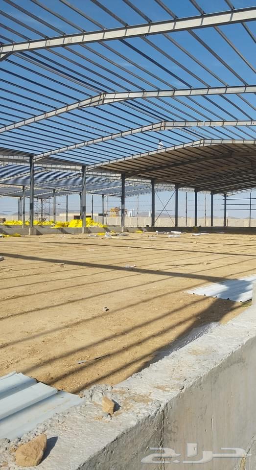 توريد وتركيب جميع أنواع الشبوك والمضلات64216704831361113