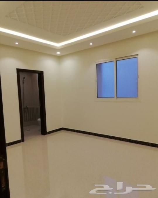 دهان جدران داخلي وخارجي64217172266243110