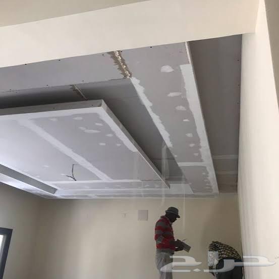 Painting Master and Carpentry and Substitute for Whiteboard64225645842947114