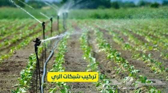 Landscape Design and Irrigation Systems64216946142337114