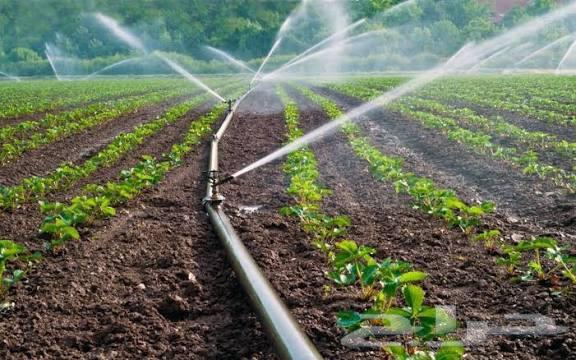 Landscape Design and Irrigation Systems64216946142337112