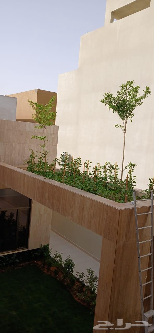 Agricultural irrigation networks and landscaping64225453236737112