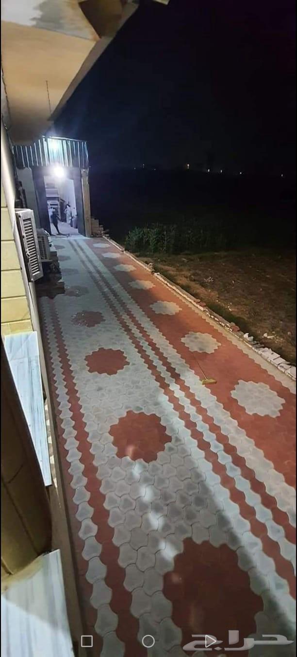 Al-Naseem64217411927555114