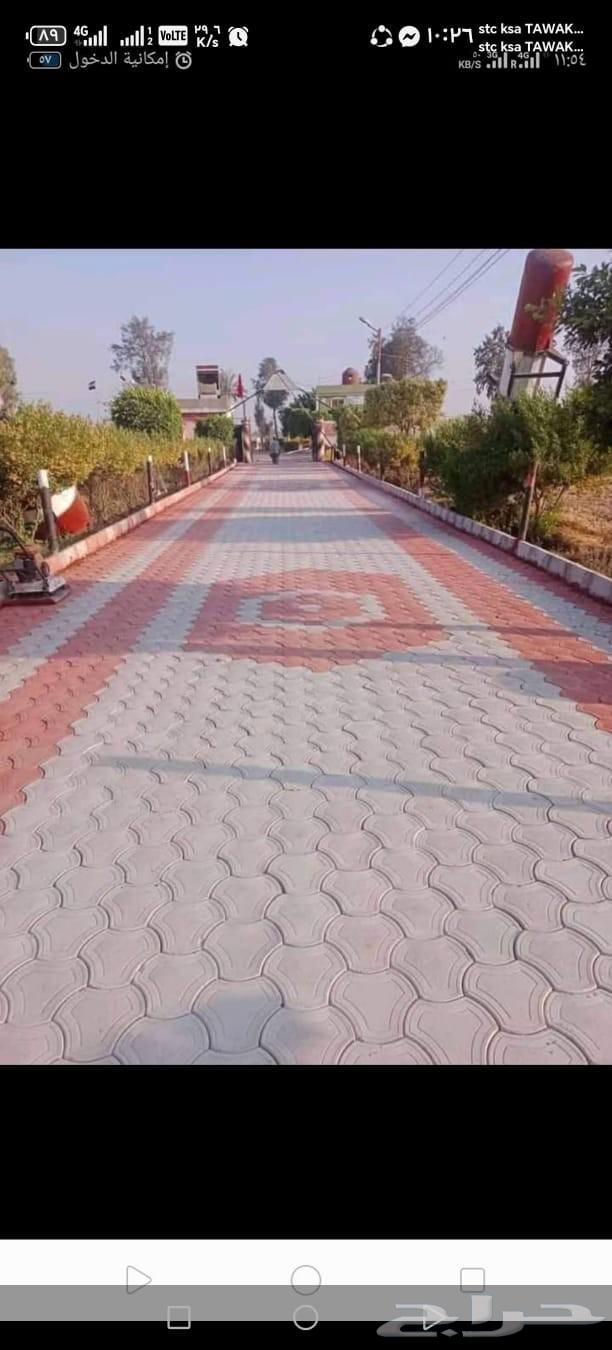 Al-Naseem64217411927555113