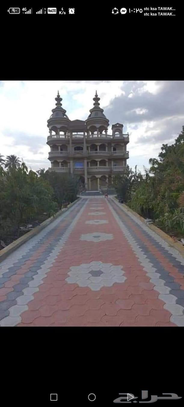 Al-Naseem64217411927555110