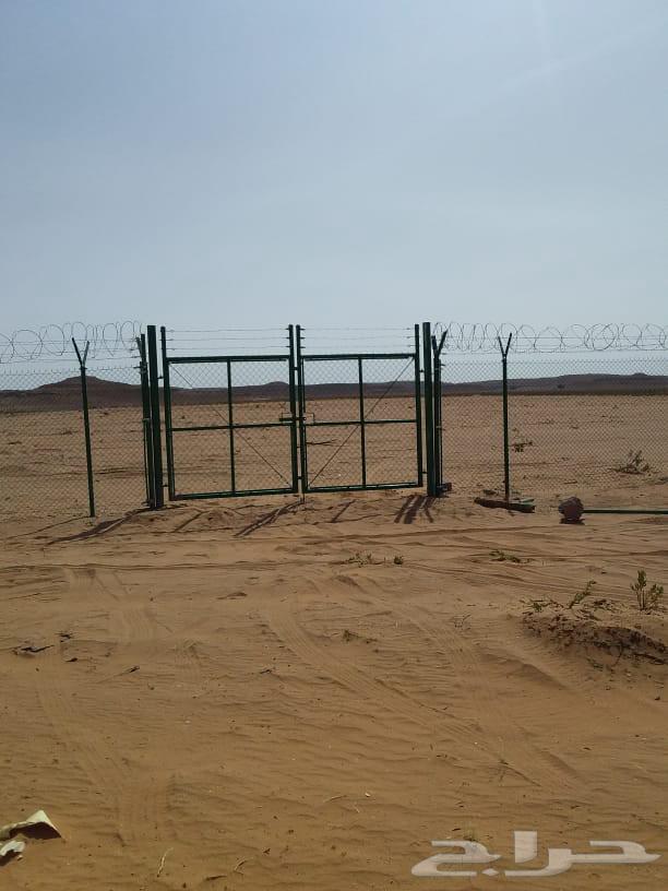 مقاول64225453628033114