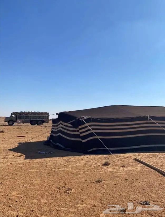 خيمة وبيوت الشعراء64225455530497113