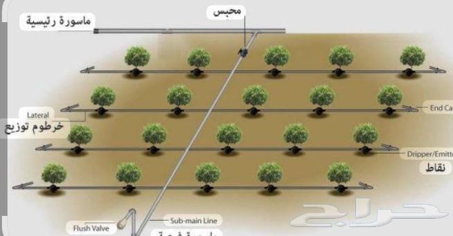 سباكة شبكة الري64216947981570110