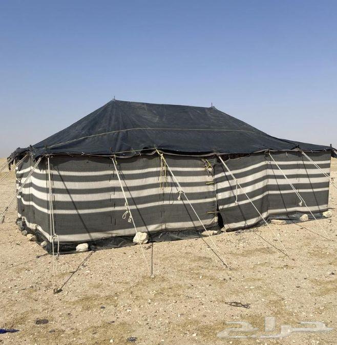 بناء بيوت شعر64217879807874114