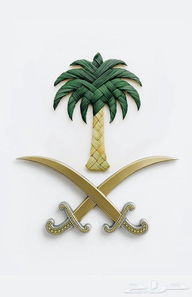 Writing telegrams, official letters, and impactful petitions64217649093506110