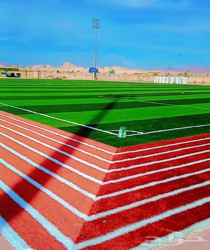 تنفيذ ملاعب بمواصفات الفيفا نوادي اكاديميات مدارس64216704967683112