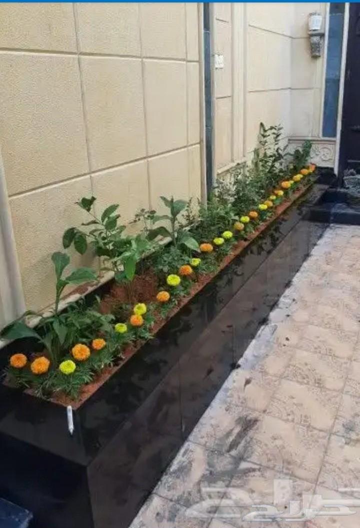 Garden and waterfall design64216947660162114