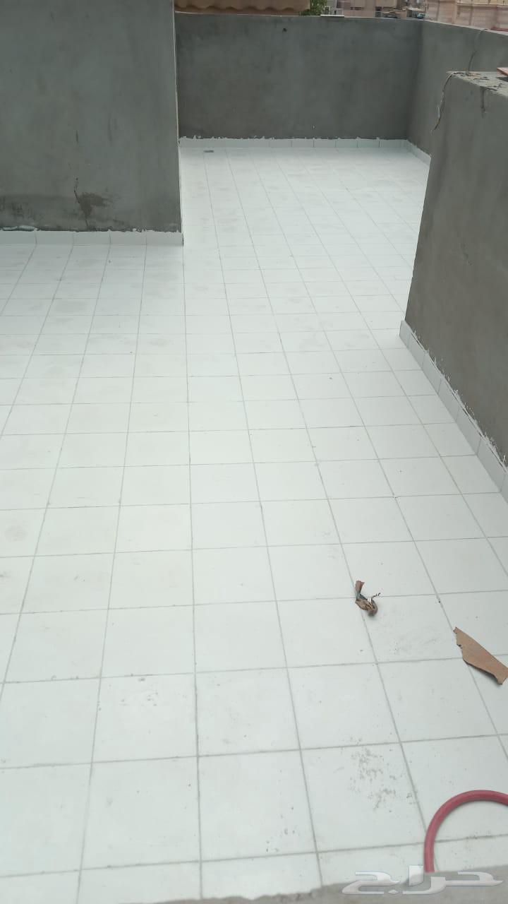 معلم بلاط با ستاني64217647777538111