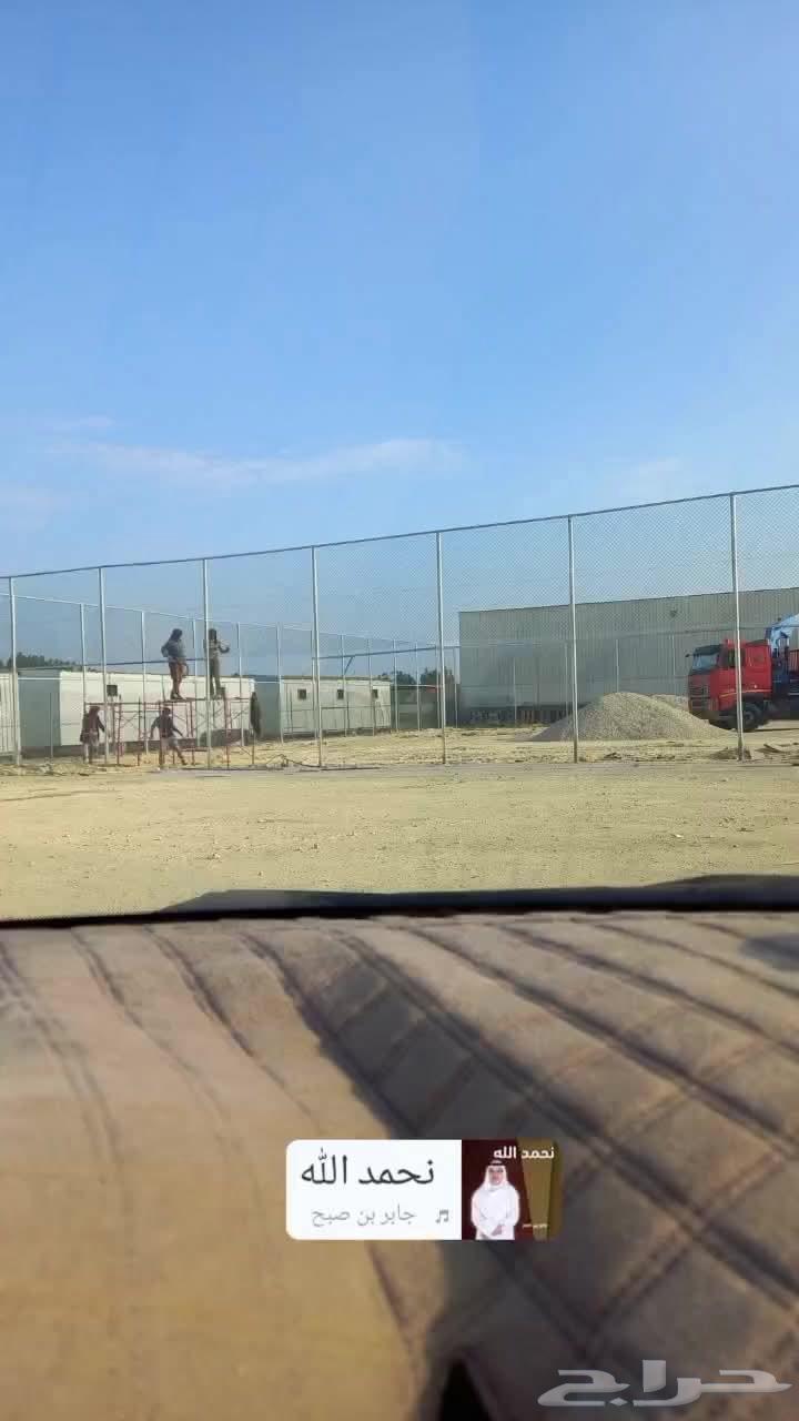 مقاول شبوك ونخل64217880067201111