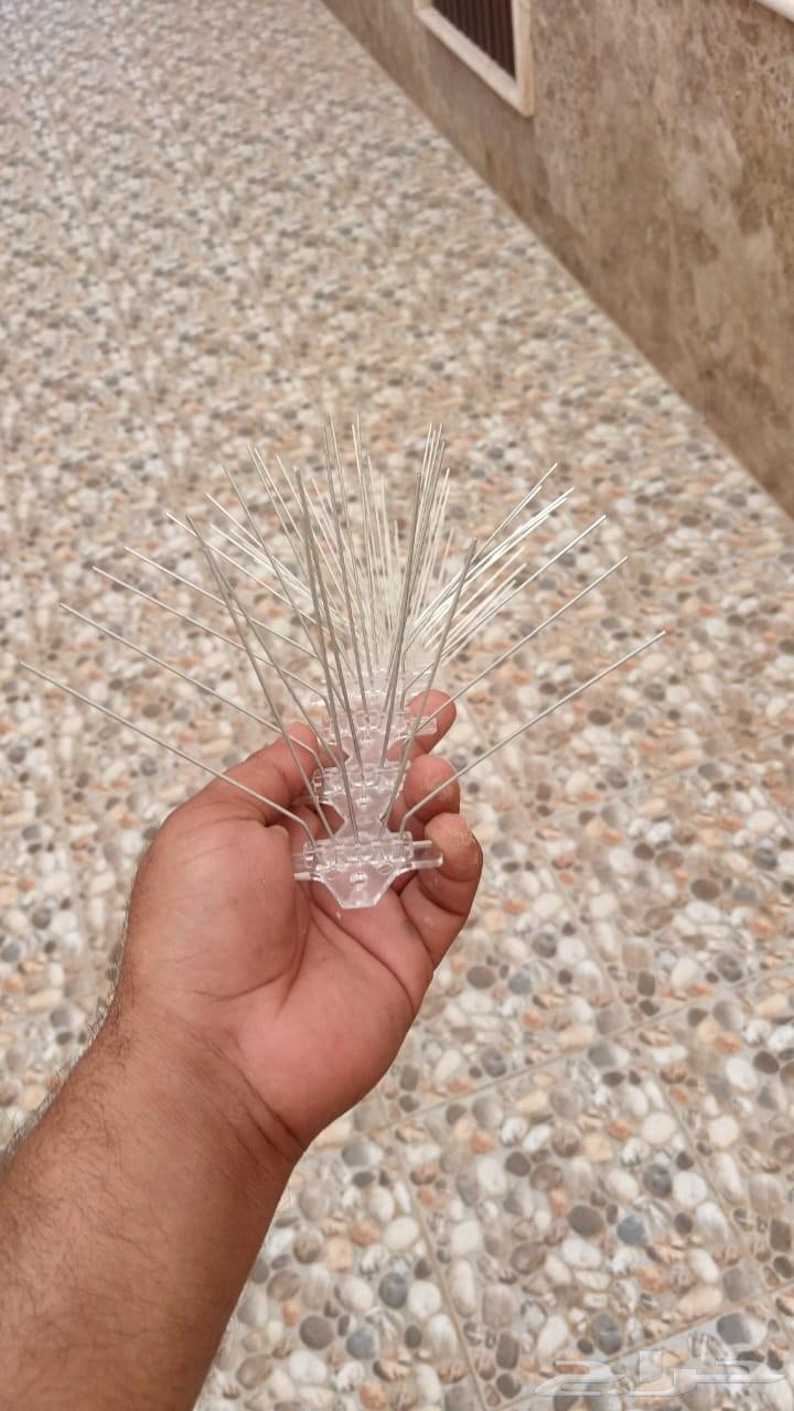 Shawq Mesh Shooq bird repeller.64217410551937112