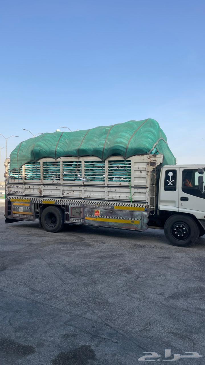 نقل عفش واثاث الدمام الخبر الرياض الشرقيه64218074838659111