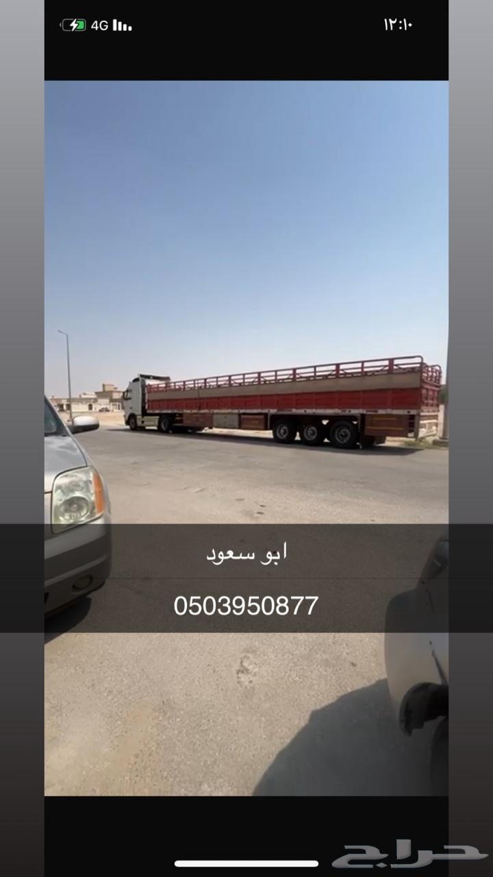 نقل حلال وسحب غرف64218305106817110