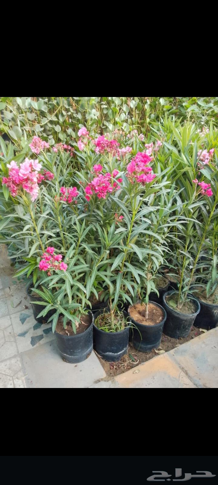 Farmer and landscape coordinator64225452322433113