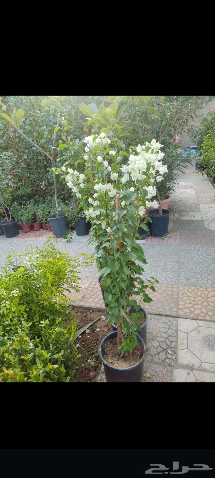 Farmer and landscape coordinator64225452322433114